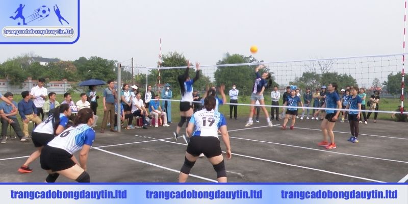 Tìm hiểu tổng quan về bóng chuyền hơi