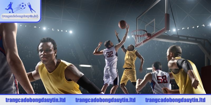 Hiểu về các vị trí trong bóng rổ cơ bản
