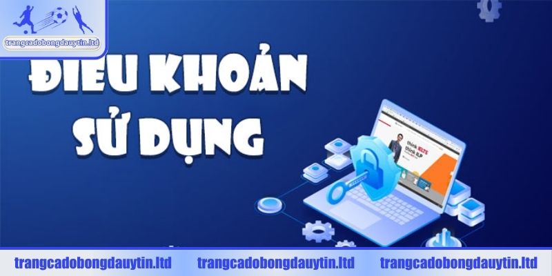 Giới thiệu điều khoản sử dụng