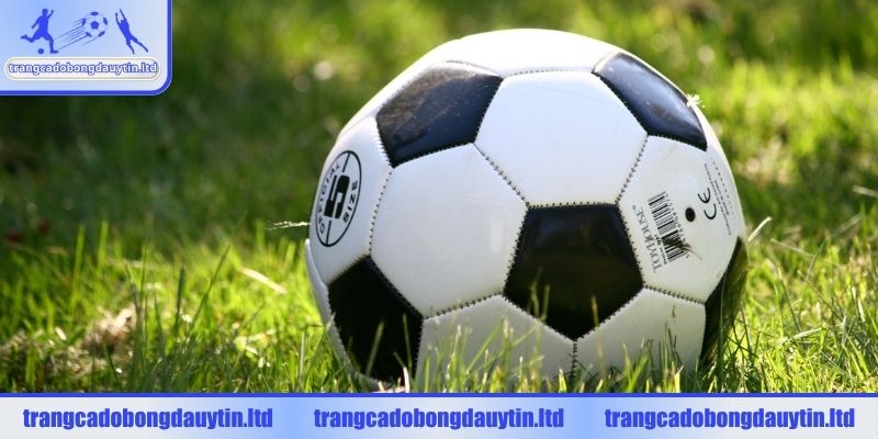 Ưu tiên kèo live khi soi tỷ lệ chấp 1.5/2