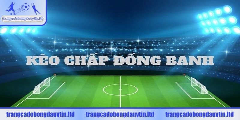 Bí quyết cược đồng banh hiệu quả để tối đa hóa lợi nhuận