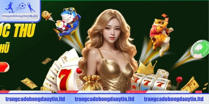 Nền móng quá trình phát triển