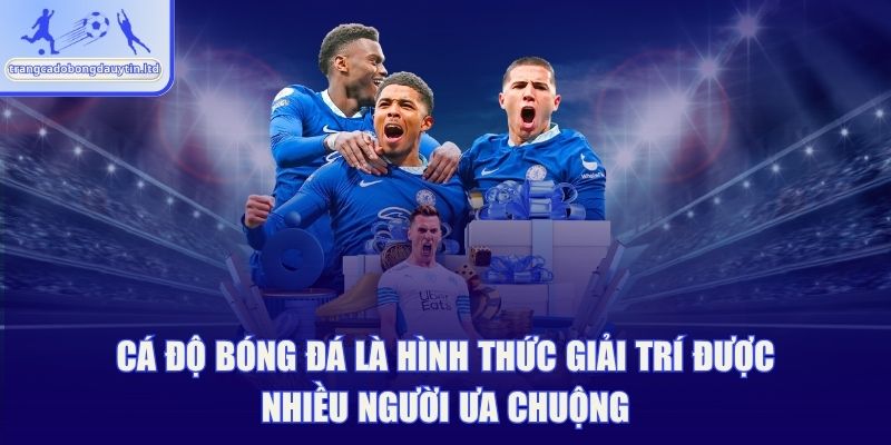 Cá độ bóng đá là hình thức giải trí được nhiều người ưa chuộng